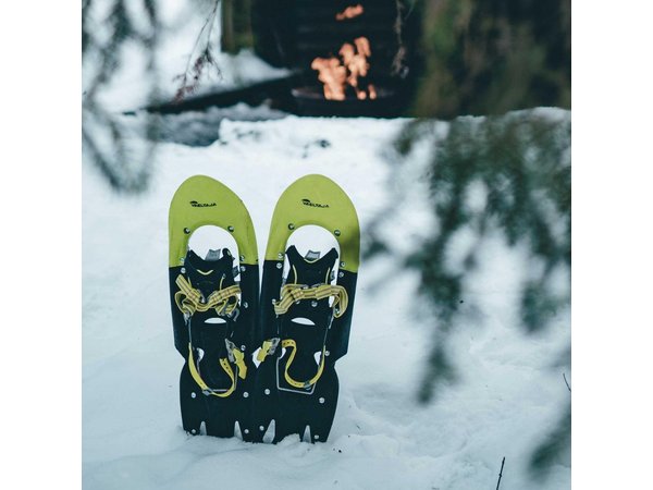 Rovaniemi: Snowshoeing in a Instagrammable forest with BBQ