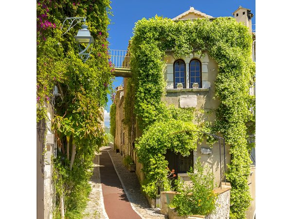 Wine Tasting, Provencal Market, Cannes and St Paul de Vence