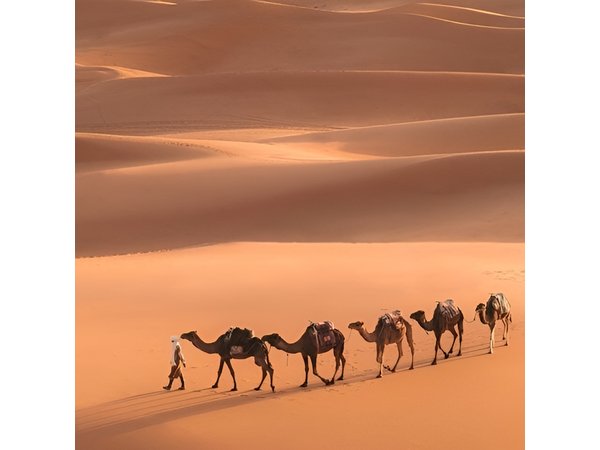 Fes To Marrakech: 3-Day Desert Tour