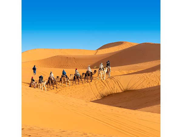 3 Day Tour from Marrakech to Merzouga with camel ride