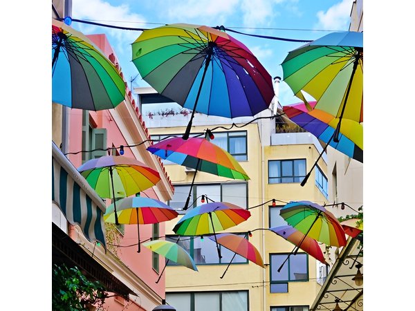 Explore Athens Street Art & Street Food Extravaganza