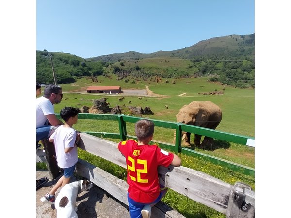 Cabarceno Natural Park Guided Visit from Santander