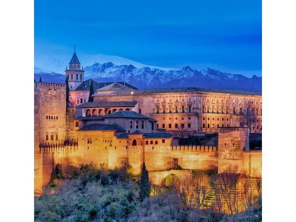 Alhambra in Granada Private Tour