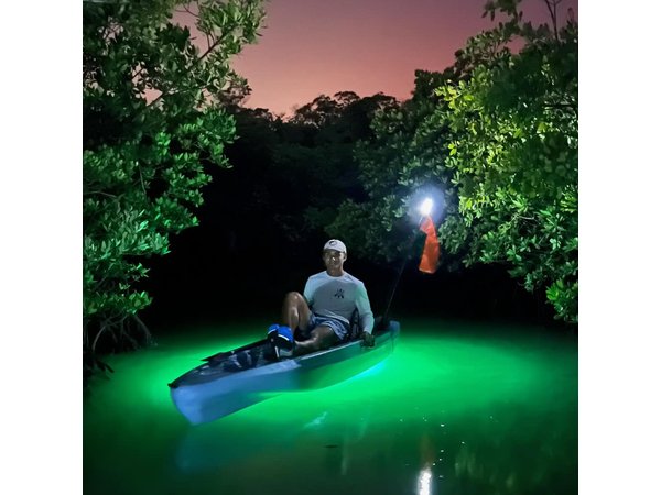 Naples Guided Sunset Kayak Tour Activity