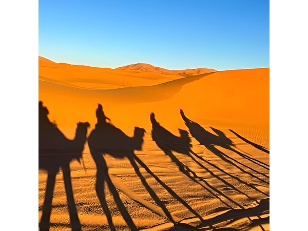 Merzouga Desert private 4 days Tour from Marrakech