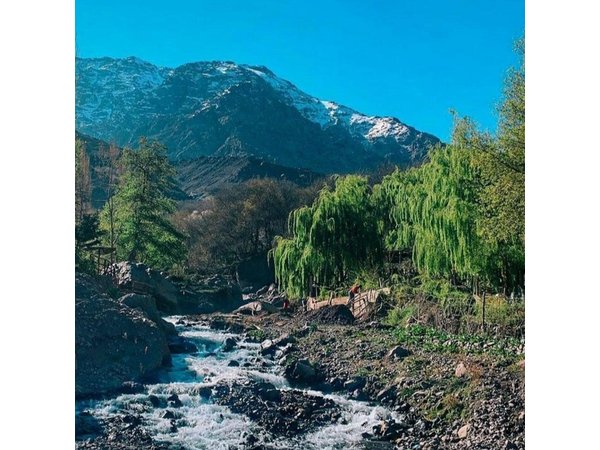 Marrakech to Atlas Mountains Day Trip with Guided Hike