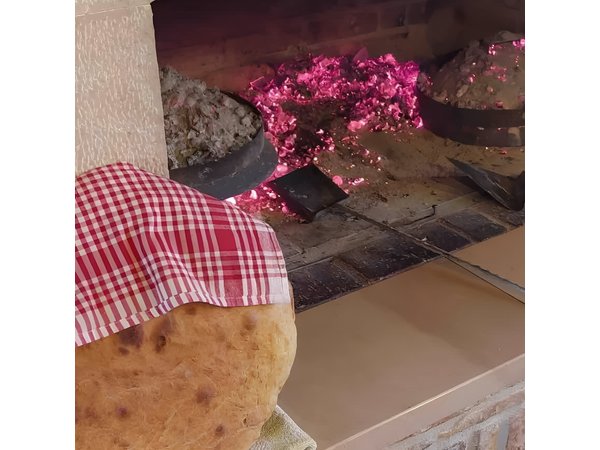 Private day Trip From Dubrovnik With Local Food at Family Home