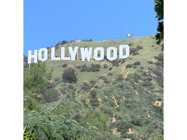 Los Angeles Private Tour
