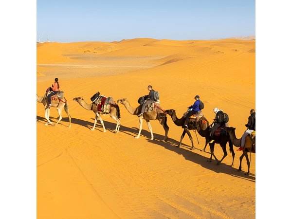 3 Day Journey in a Desert Splendors of Fes to Marrakech