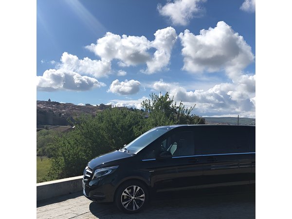 Avila and Segovia Private Minivan Tour from Madrid