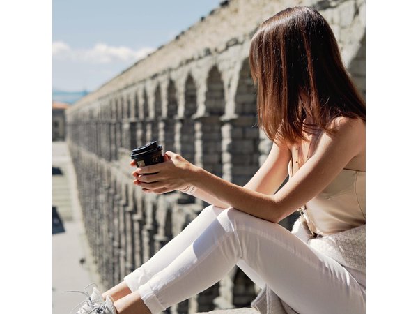 Tour Segovia and La Granja de San Ildefonso from Madrid