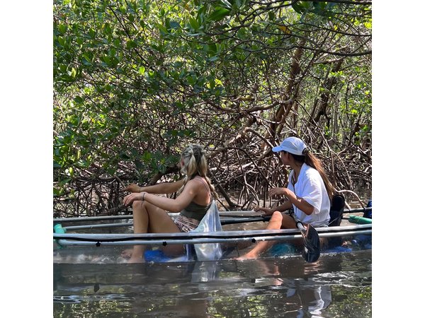 Clear Kayak Guided Eco Tour in North Naples