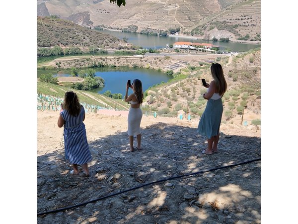 From Porto Private Tour Douro Valley two Wineries, Lunch and Boat.