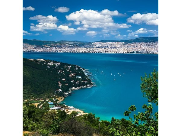 Princes Island Full-Day Tour From Istanbul