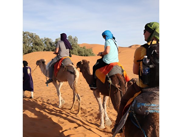 6 Days Deep South in Morocco and Desert Tour from Marrakech