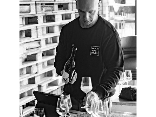 Private Wine Tour,lunch,9 wines,sommelier, transport from Naples