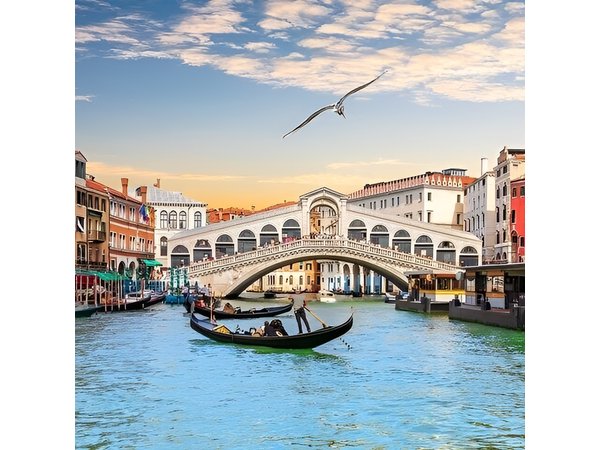 Private Tour from Milan: Venice Full Day Trip by Train