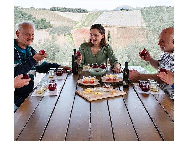 Olive Oil Tour & Tasting with sommelier -Kalentzi, Athens daytrip