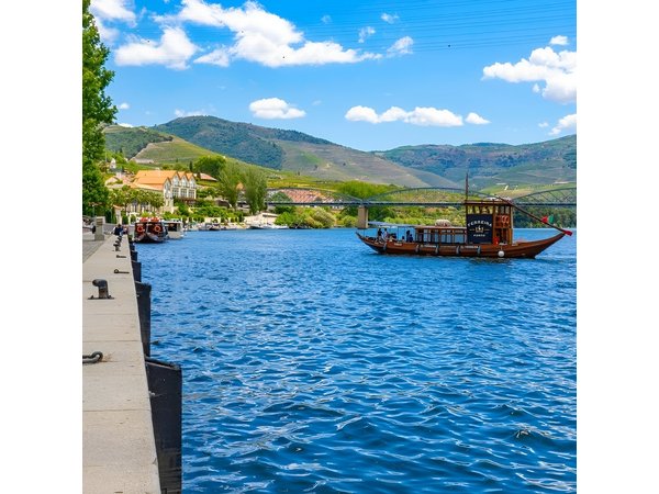 Private tour from Porto to Duoro Valley (Peso da Regua & Pinhao)