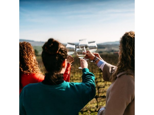 Port : Douro Valley Tour with 2 Wineries, Lunch and Cruise
