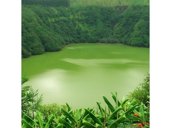 Guided Tour to the Sete Cidades Volcano in São Miguel Azores