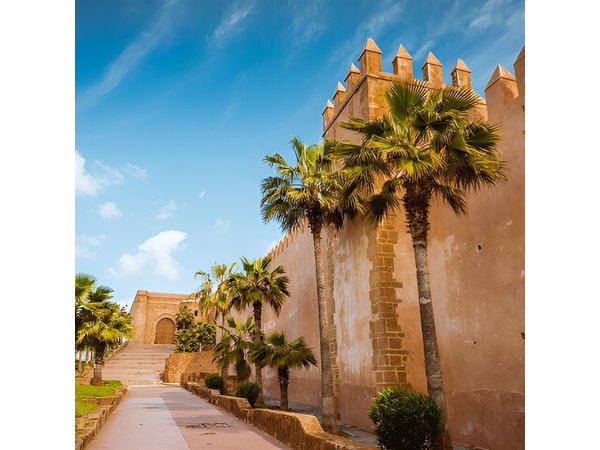 Full-Day Private Tour of Casablanca and Rabat with Entry Tickets