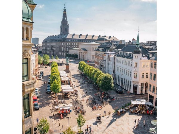 Copenhagen: Guided walking tour in French