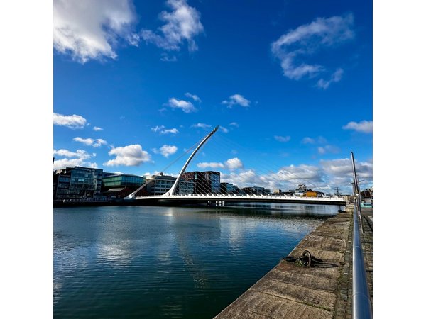 Private Luxury VIP Dublin Vikings City tour