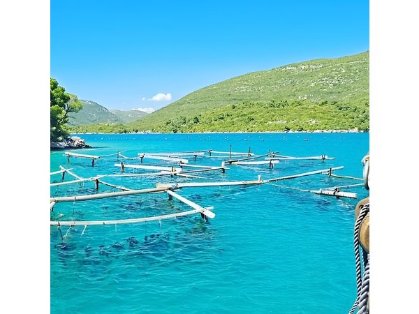 Boat ride, Oysters, Mussels & Wine: Oyster Farm Visit - Dubrovnik