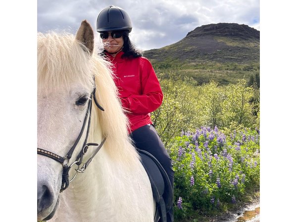 2 hours Private Horse Riding to Lake Hafravatn, Reykjavík - Mos