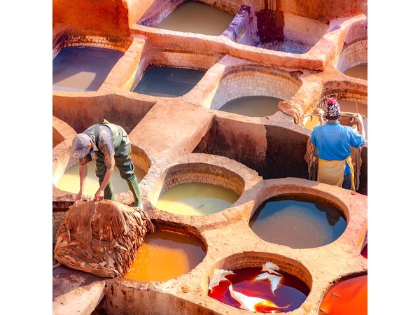 Private guided tour of Fez with lunch from Casablanca