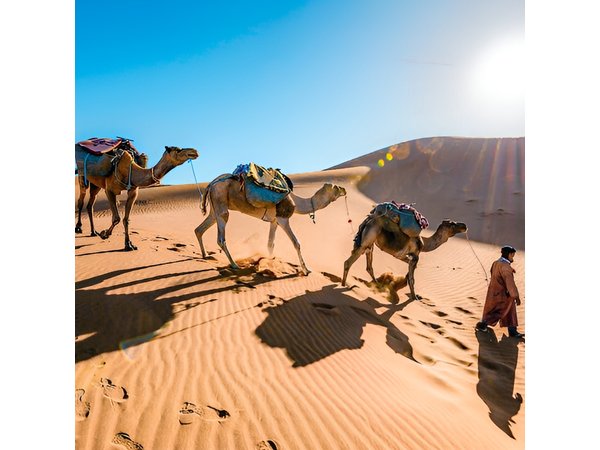 From Marrakech : 3 Days Desert Tour To Fes