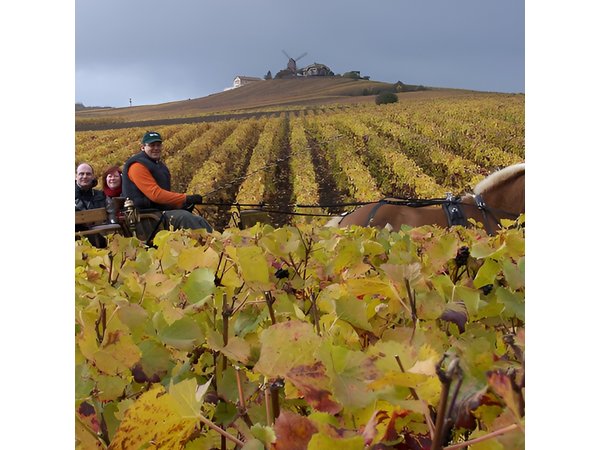 Full Day All-inclusive Tour in Champagne from Paris in a Minivan