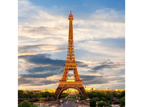 Private day trip: Le Havre to Paris and back, local driver