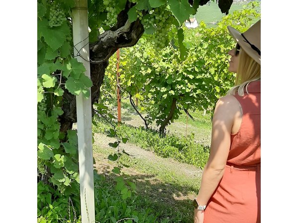 2 Guests Private Prosecco Road Tour All Inclusive from Venice