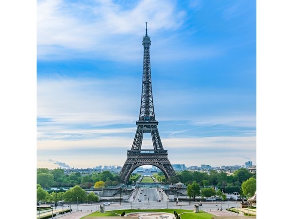 Paris by Rail - Sightseeing Bus and Eiffel Tower Champagne Lunch