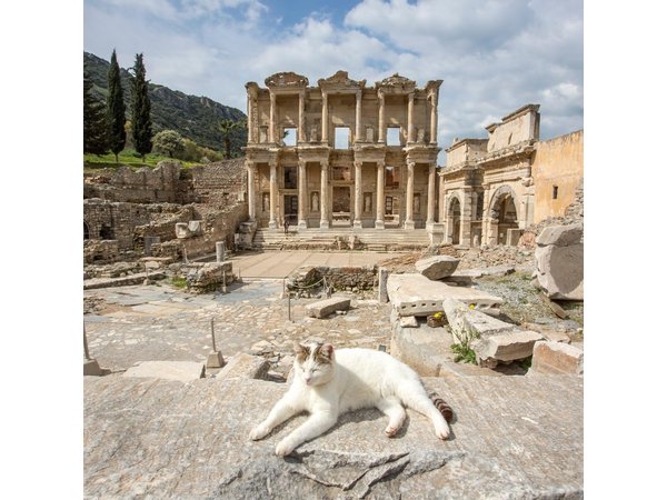 Ephesus Tour from Istanbul by Flight