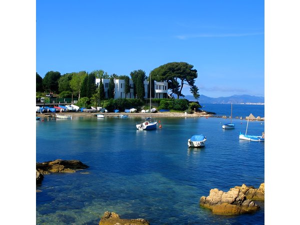 8h Private tailor-made excursion on the FrenchRiviera from Nice