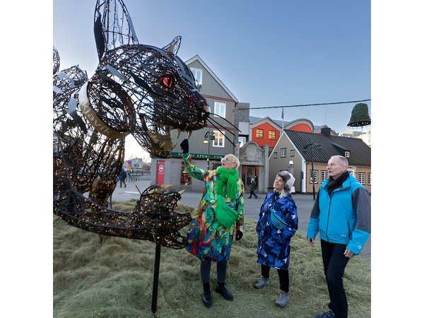 Private Reykjavik Christmas Walking Tour
