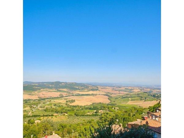 Val d'Orcia private tour: Montalcino, Pienza and Montepulciano