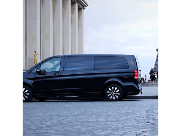 Private Paris tour By Minivan, private guide, Champagne(optional)