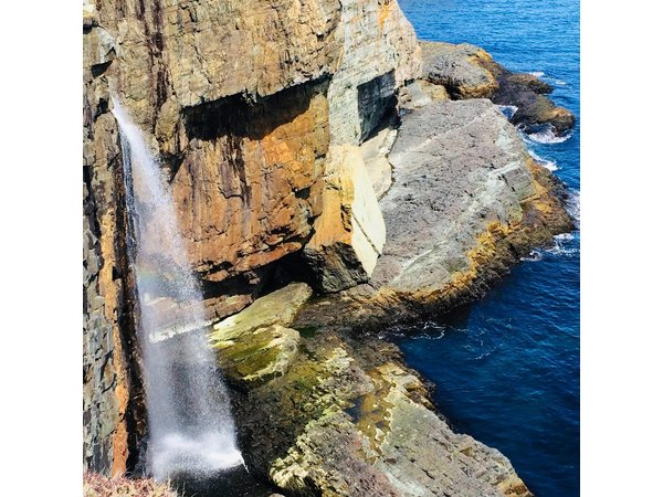 St. John's Coastal Hike with Top Local Guide Deneen