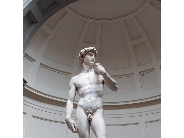 Combo Florence: Walking Tour with the the Accademia Gallery Tour