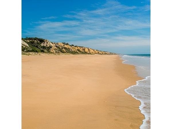 Excursion to the beaches of Huelva from Seville - Private tour