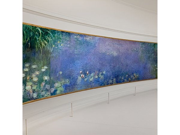 Orangerie Museum Paris 1.5 Hour Private Guided Tour