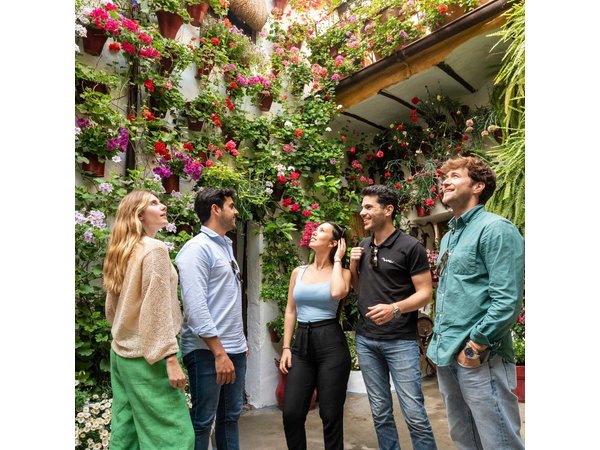 Córdoba Private Day Trip from Madrid by High-Speed Train