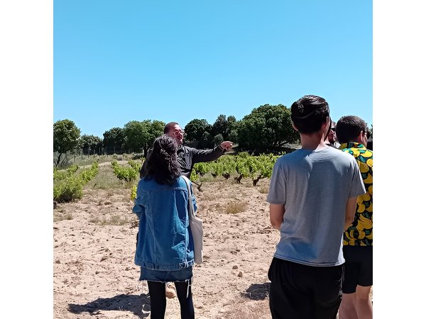 Madrid Wine Tour: Visit Two Wineries with Tastings
