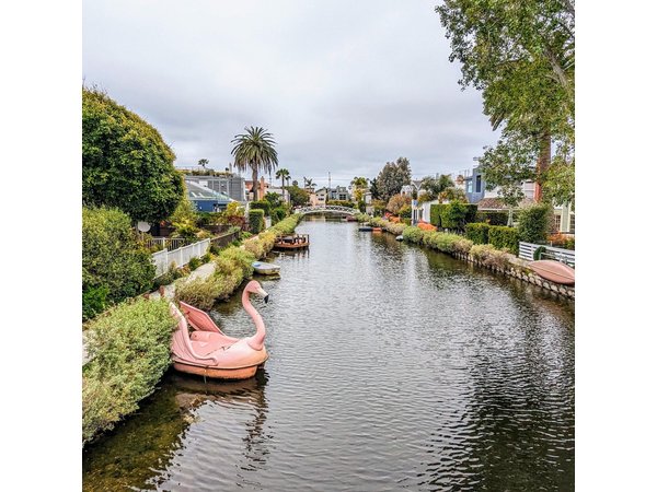 Los Angeles Half-Day Private City Tour with Celebrity Homes