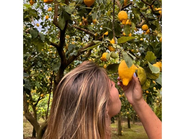 Nonno Mario Sorrento Lemon tour