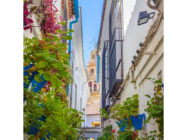 Cordoba Day Trip : A Journey Through History from Malaga
